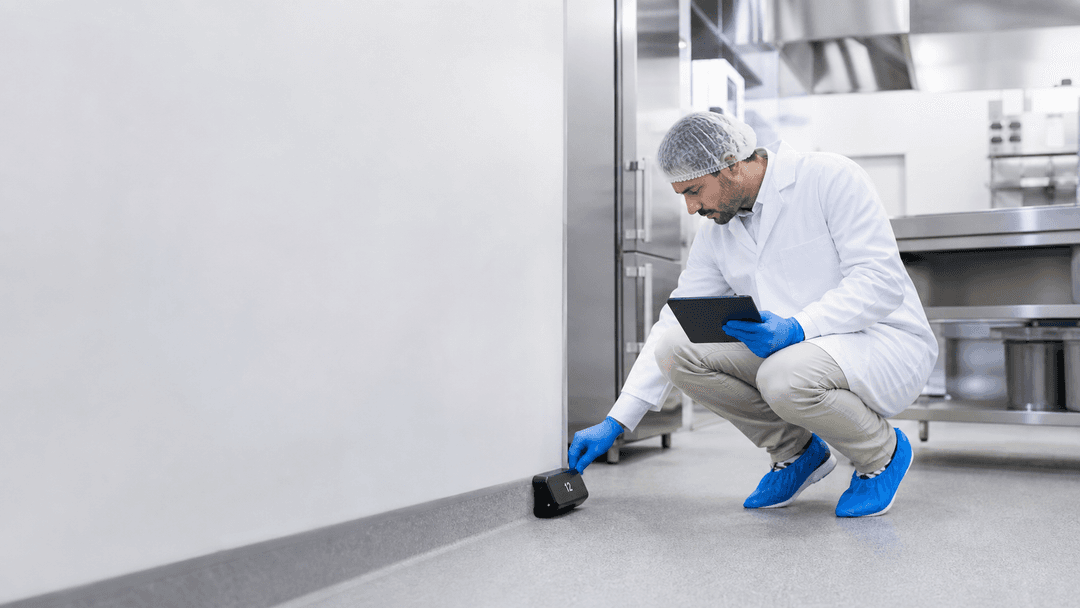 Plano de Controlo de Pragas no HACCP: O Que Deve Estar no Dossiê da Empresa